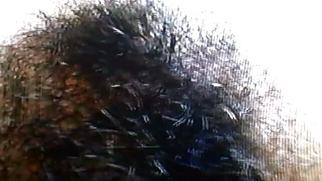 变性人，狗很喜欢这个。 日本第一次做爱