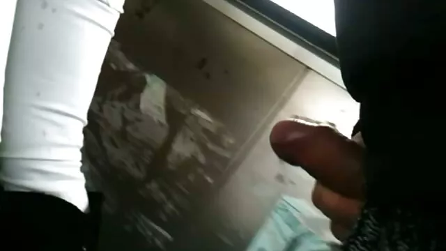 当他的尾巴的行程 日本色情英文字幕