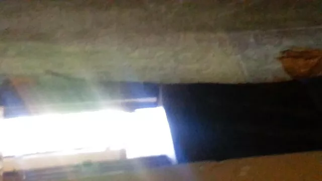 迪克 性别老日本